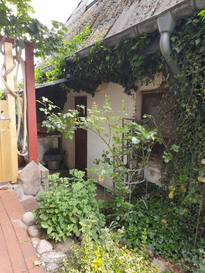 Ferienwohnung Am Osterdeich Dagebüll Dış mekan fotoğraf